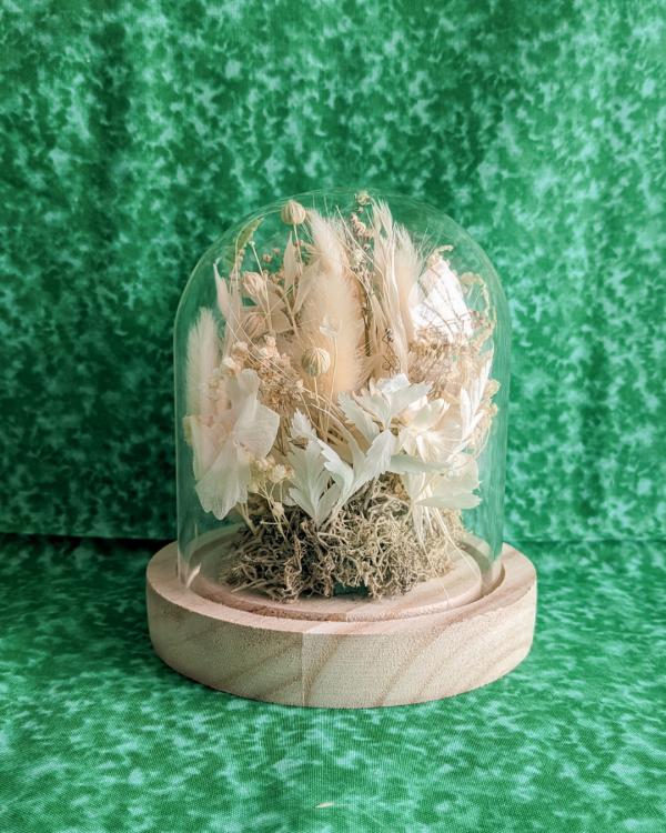 cloche de fleurs séchée blanche