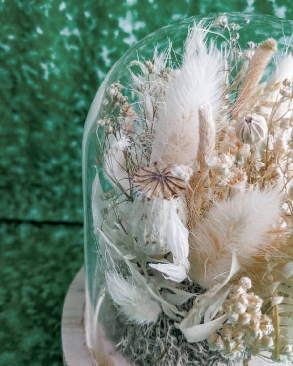 cloche de fleurs séchée blanche