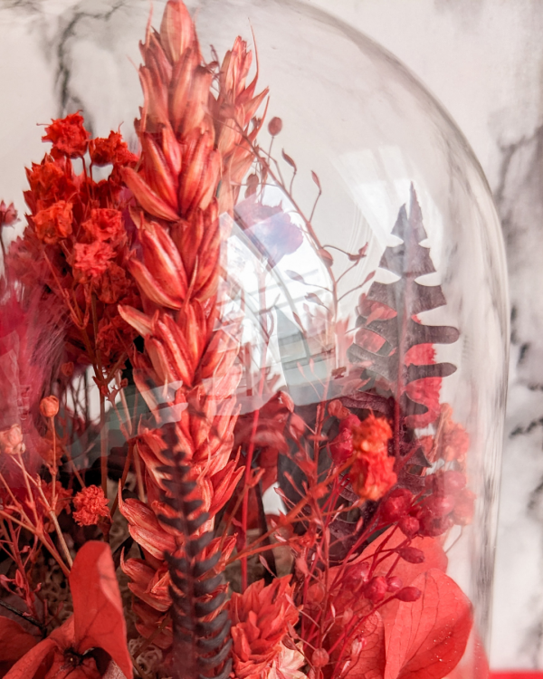 cloche de fleurs séchée rouge