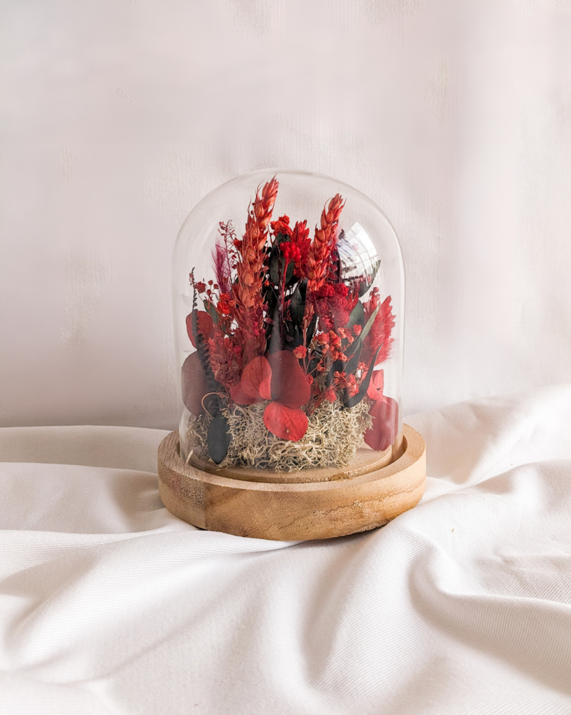 Fleurs séchées sous cloche