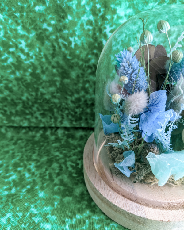 cloche de fleurs séchée bleue