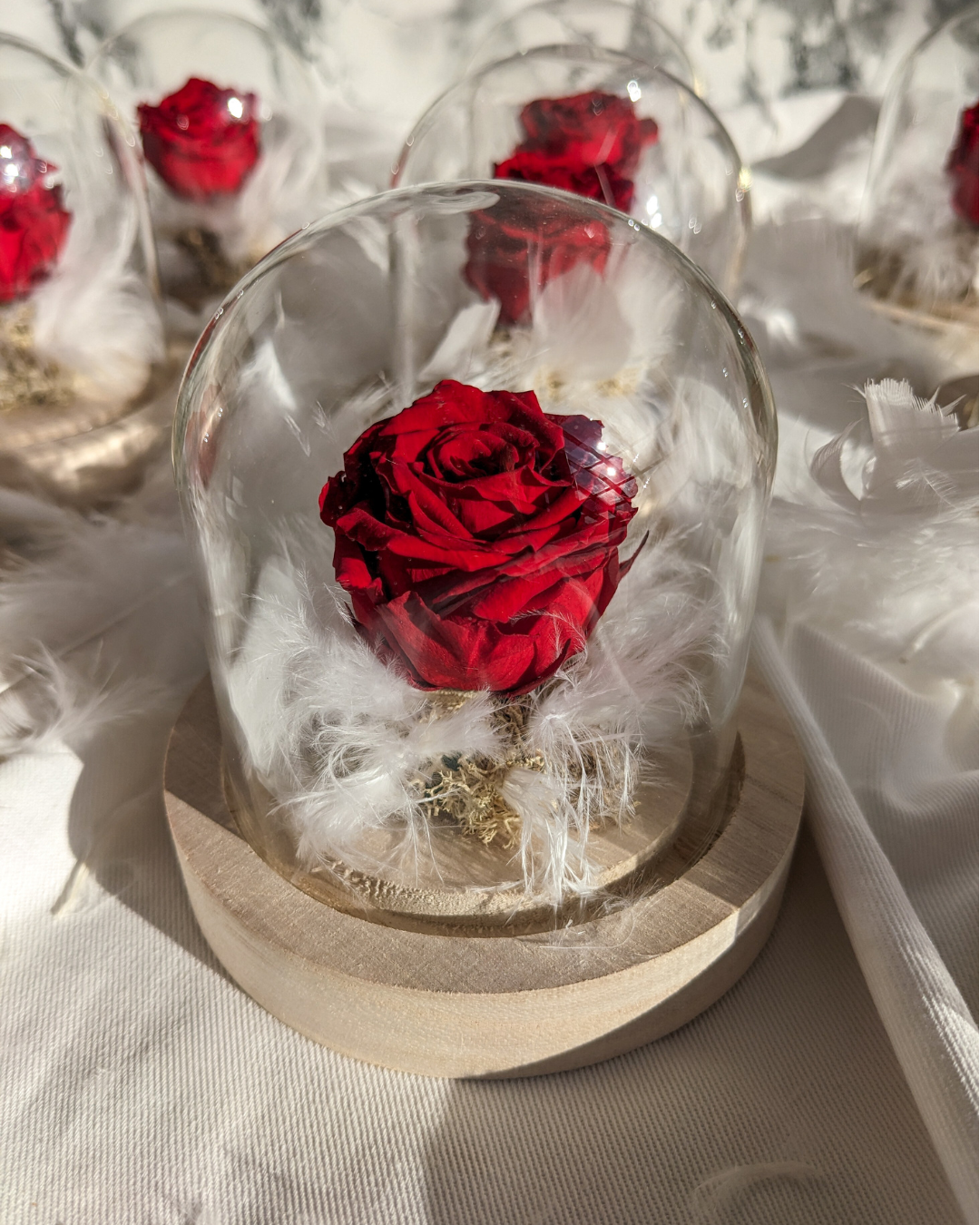 Cloche Éros - Cloche Fleurie avec Rose Éternelle Rouge et Plumes