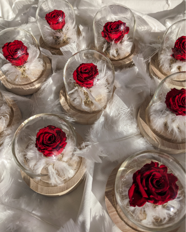 Cloche Éros - Cloche Fleurie avec Rose Éternelle Rouge et Plumes