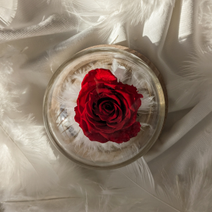 Cloche Éros – Cloche Fleurie avec Rose Éternelle Rouge et Plumes