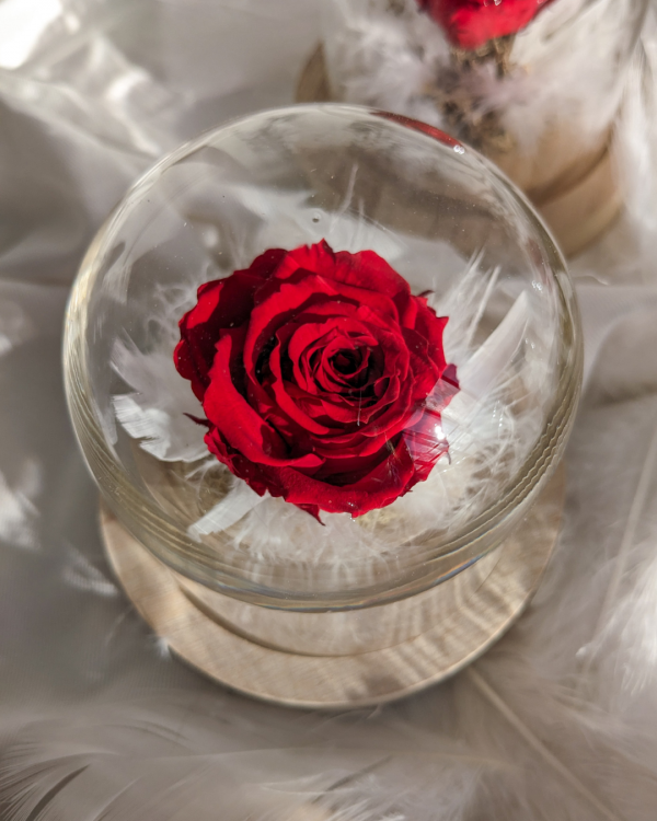 Cloche Éros - Cloche Fleurie avec Rose Éternelle Rouge et Plumes
